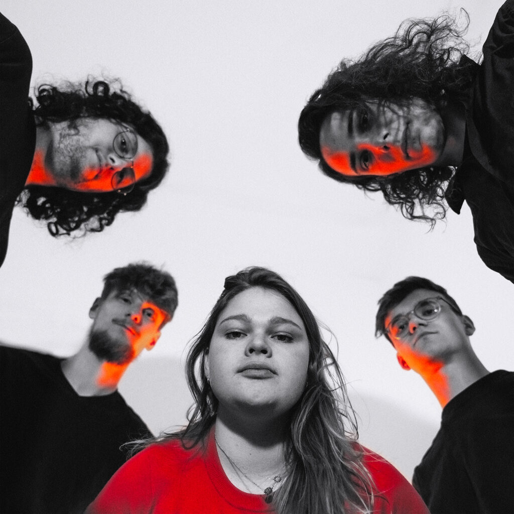 50%3k cover v2 semi nb